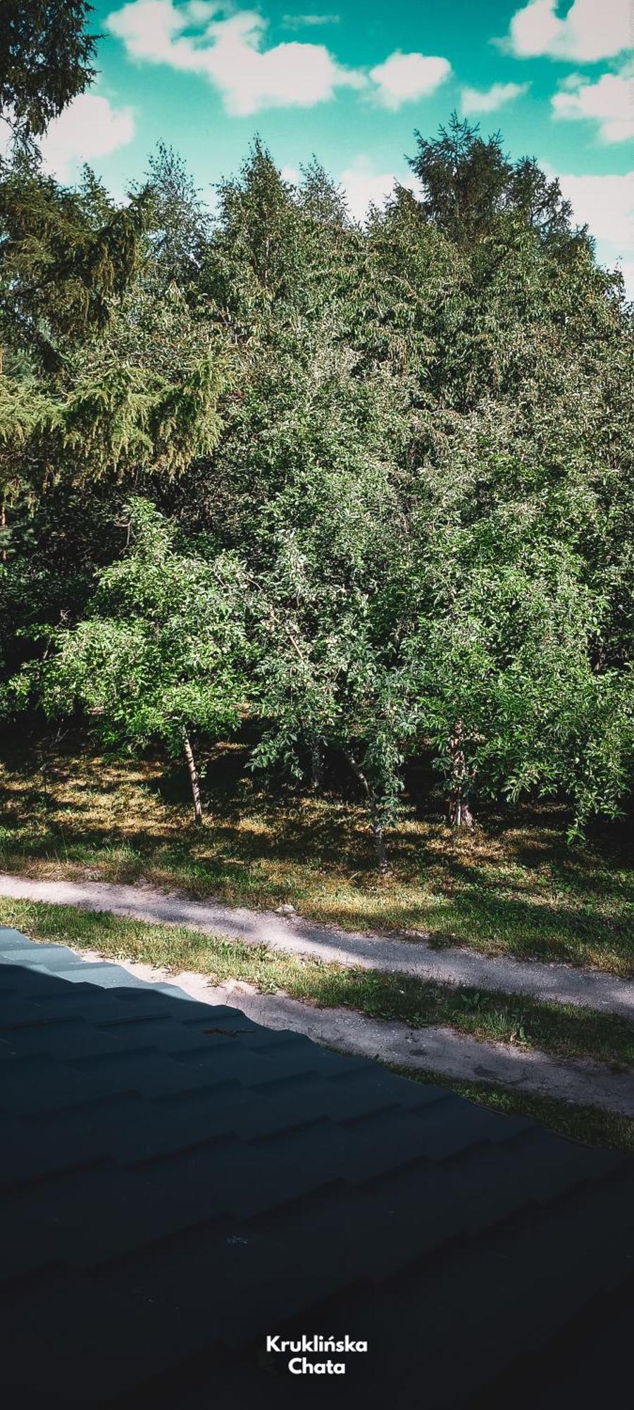 Kruklinska Chata - Domek Na Mazurach エクステリア 写真