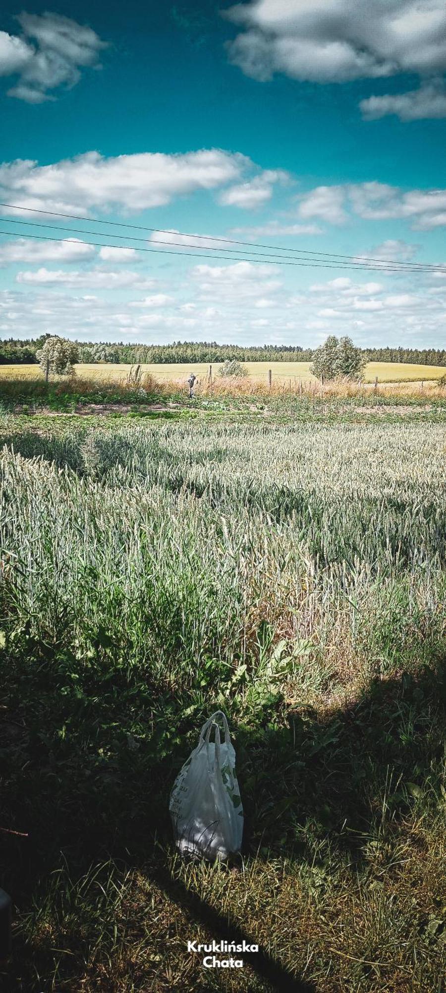 Kruklinska Chata - Domek Na Mazurach エクステリア 写真