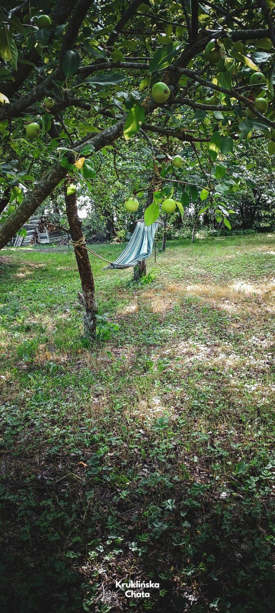 Kruklinska Chata - Domek Na Mazurach エクステリア 写真